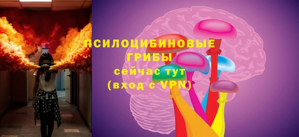 твердый Абинск