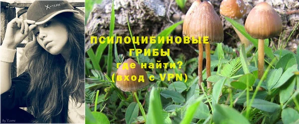 спайс Алексеевка