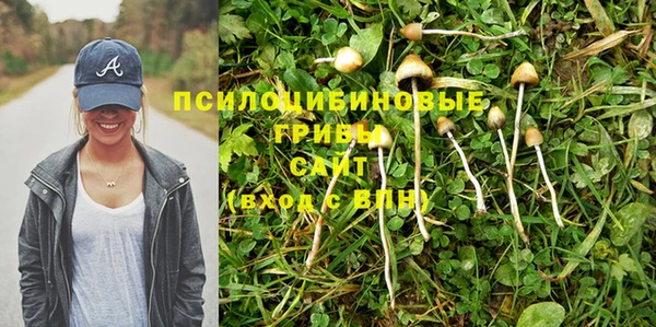 героин Алзамай